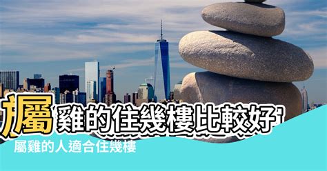 屬兔方位|屬兔適合住幾樓吉利